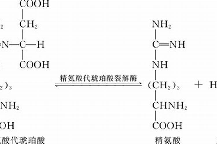 二铵与尿素哪种肥料喂玉米好一些？