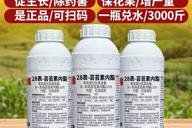 在秋季的时候,冬枣使用什么肥料效果是最好的？