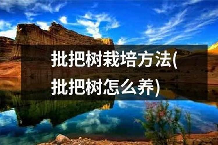 南瓜刚刚打顶可以喷叶面肥吗？