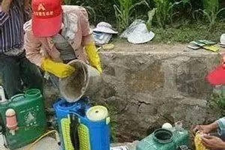 湖南嘉田生物肥业科技有限公司怎么样？