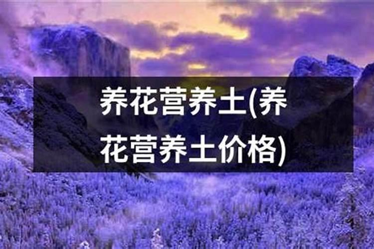 玫瑰花滴钙肥什么时候用？