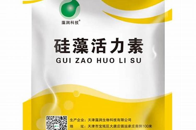 兰花干尖如何养护