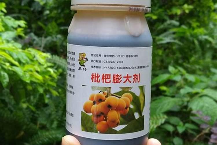 果树施硼肥怎么操作？果树施硼肥有什么用？