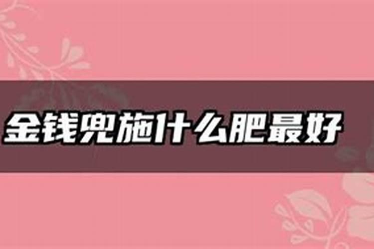 番茄能不能冲施黄腐酸钾肥料