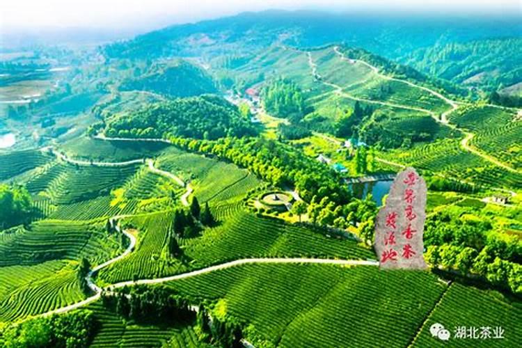 国内氨基酸水溶肥生产厂家有哪些？