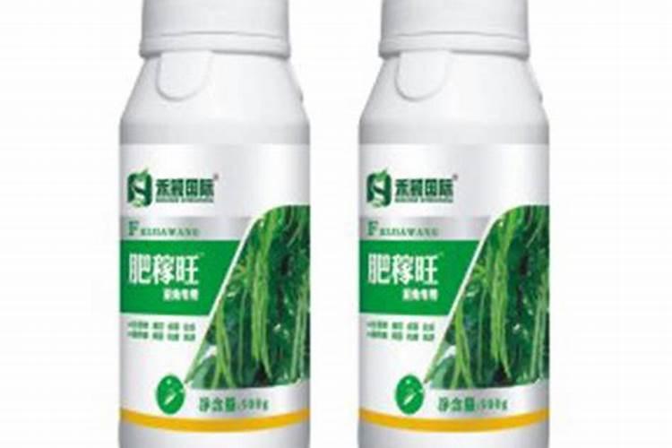 柑橘用什么叶面肥嫩果!拉长膨大？