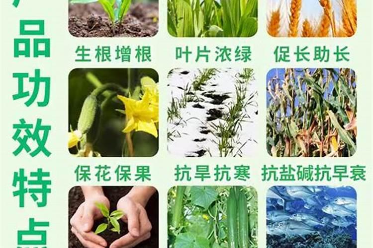 小麦追肥用什么肥料好
