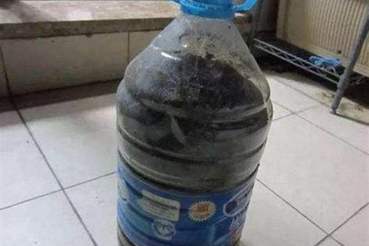 鱼鳞可以做肥料吗