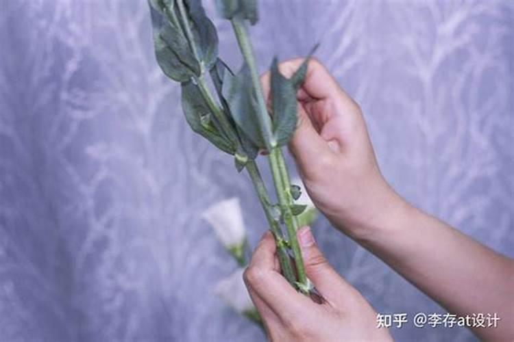 牡丹花可以喷叶面肥吗 注意事项有哪些