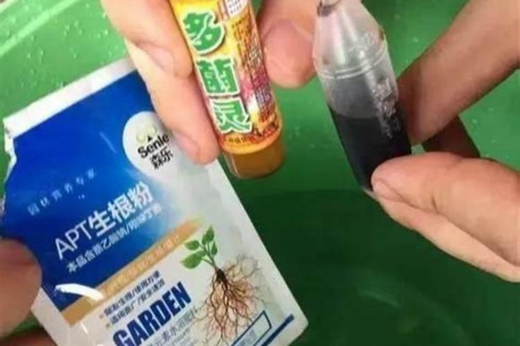 磷酸二氢钾与多菌灵可以混合用来打豆角吗？