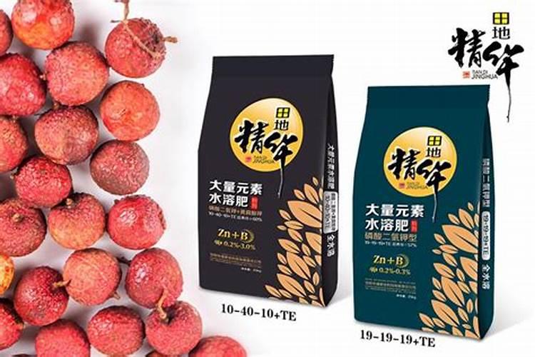 荔枝长肉时施什么肥最好