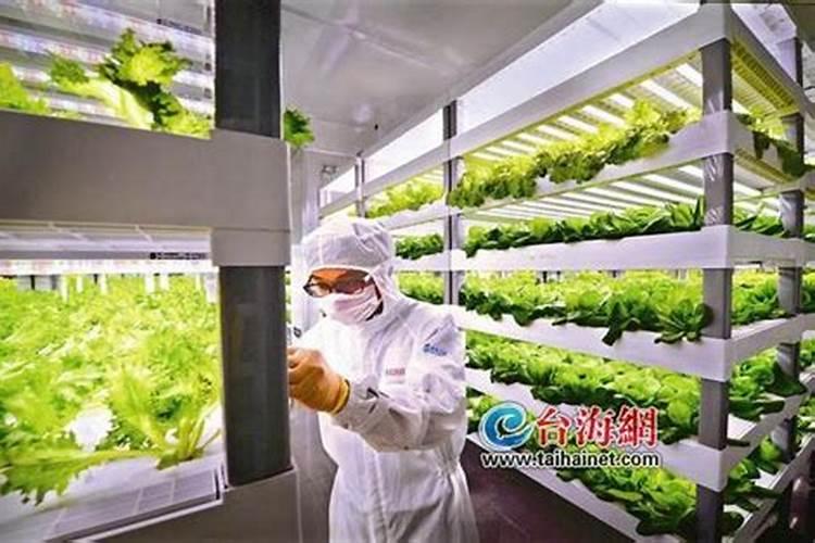 中国知名叶面肥生产厂家有哪些,那家做的比较好？