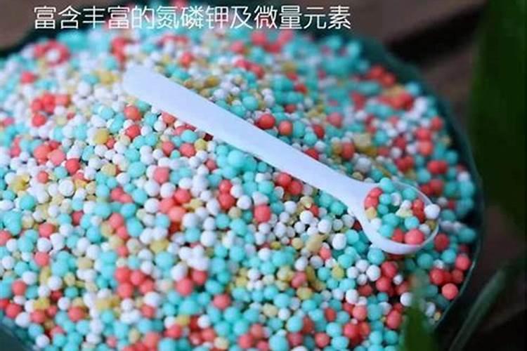 多肉植物长得太慢？2种肥料搭配使用,爆盆易如反掌