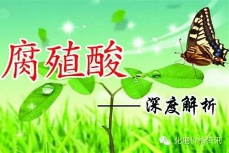腐植酸与黄腐酸哪个肥效好？