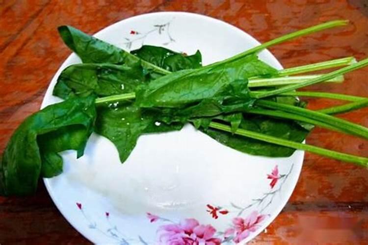 为使菠菜长得快应选用什么肥料