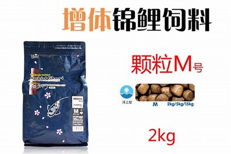 罗汉松什么时候施肥