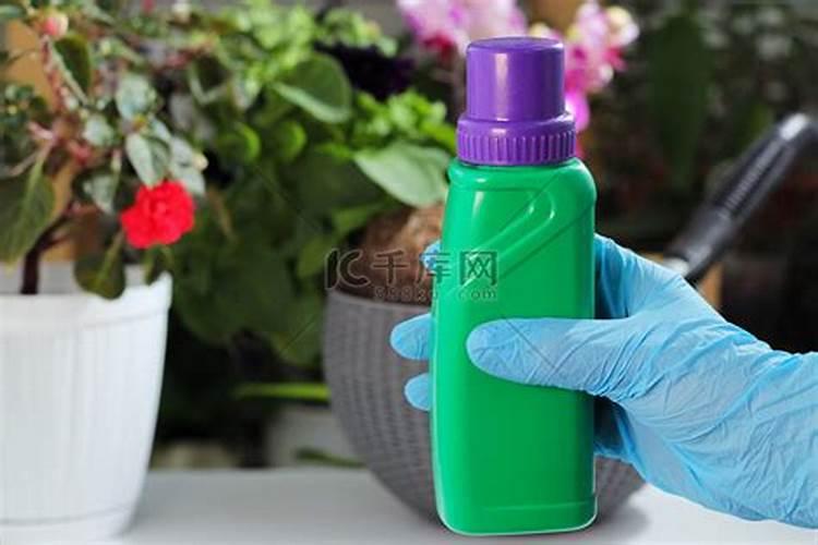 开花植物施什么肥