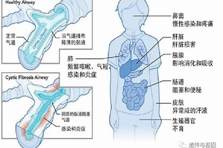 人体缺铜会出现什么症状？