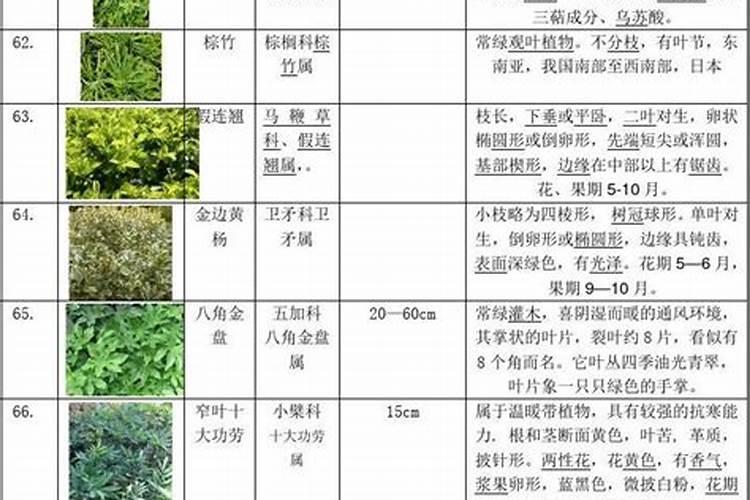 冲施肥用腐殖酸好还是黄腐殖酸好