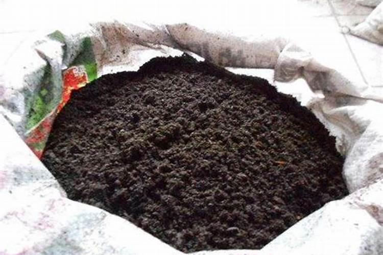 矿源腐植酸液体放久了变臭还能用吗