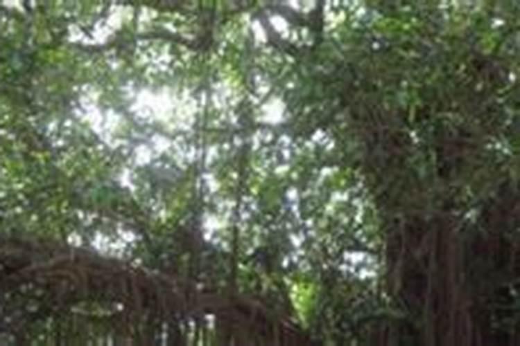 铵盐固体和氢氧化钠固体和溶液的区别