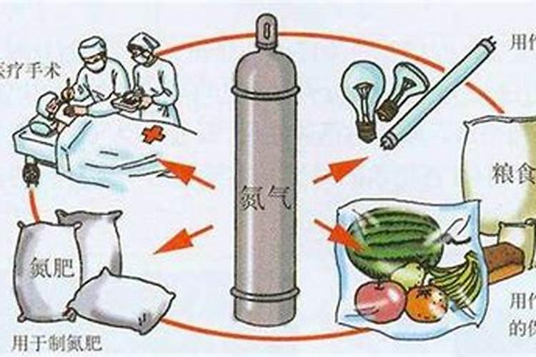 自制氮肥有哪些,用什么可以自制氮肥呢