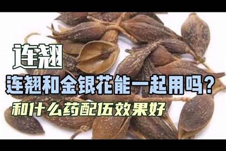 花和叶是什么关系？