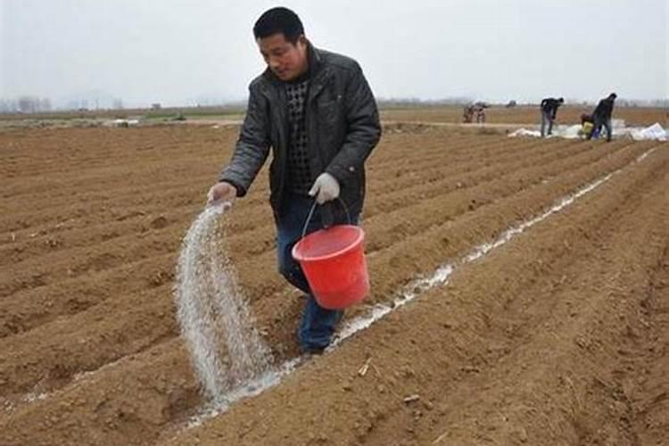 氯化钾上水田地啥时候用？