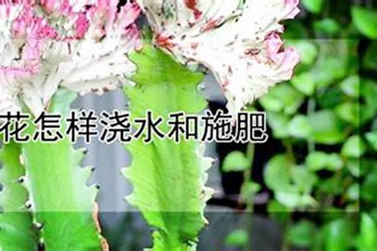 柠檬酸溶性磷酐是合成的