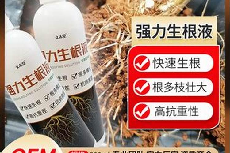 氮肥为什么不能和碱混合