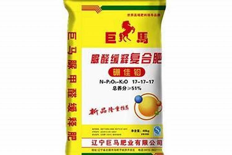 鸿运当头花价格 多少钱一盆
