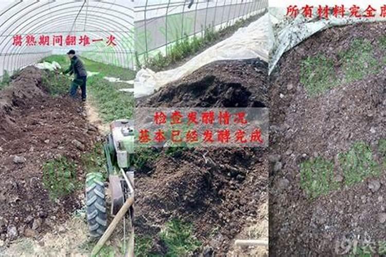 自制腐殖酸肥料 又环保又实用
