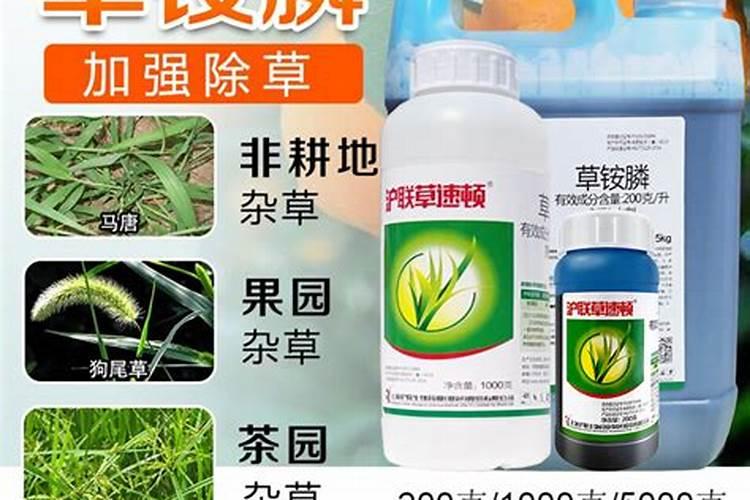 苔芸素可以施土吗？