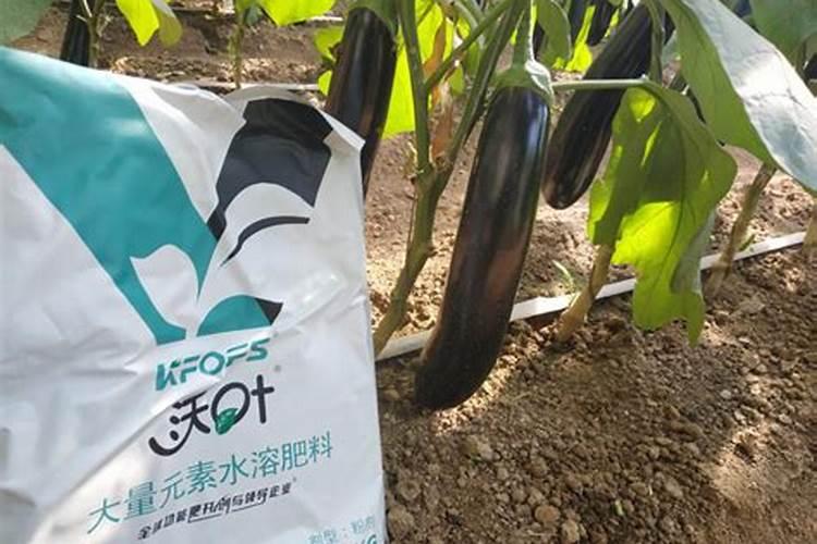 南方夏天温度高适合用有机水溶肥吗