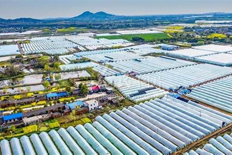 蔬菜专用肥161616