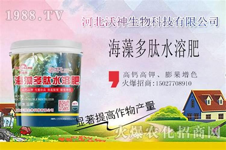 作物什么时期用生根的比较好？
