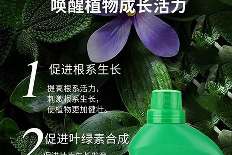 叶面肥使用的误区有哪些？ 苹果专用杀蚜剂:1.3%苦参碱