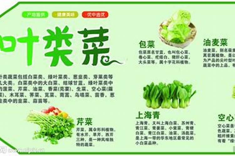 为什么绿叶蔬菜高钾