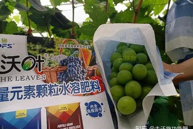 葡萄上怎么使用钾肥最好