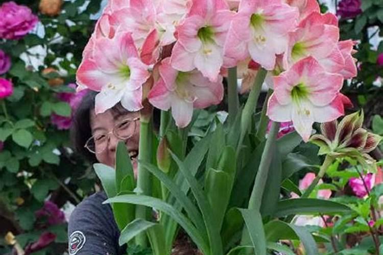 中量元素肥料有哪几种