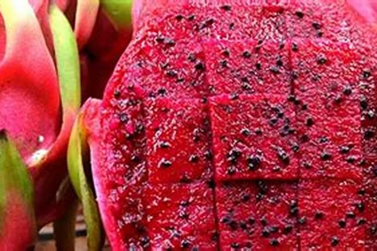 什么肥料施加在果树上能带来最好成效？