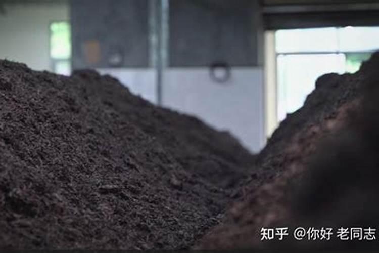烤烟打顶时间及方法步骤