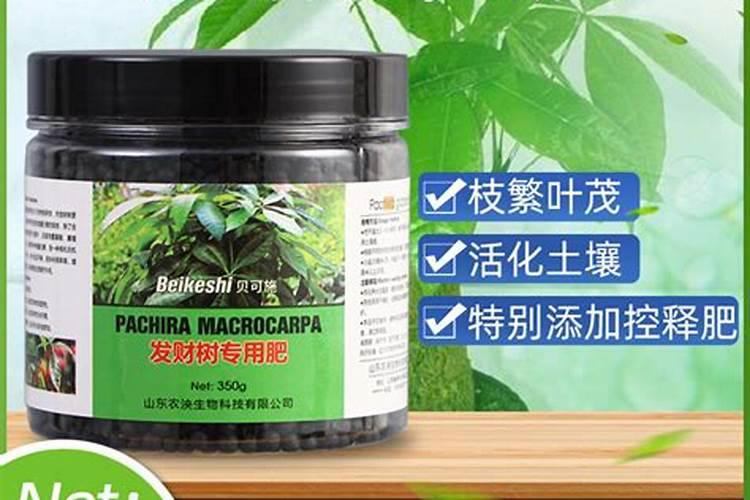 复合肥可以浇发财树吗