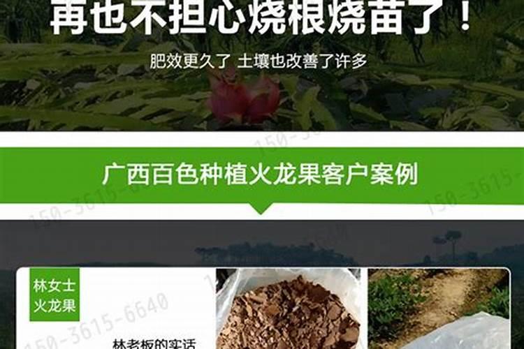 聚谷氨酸对植物的作用