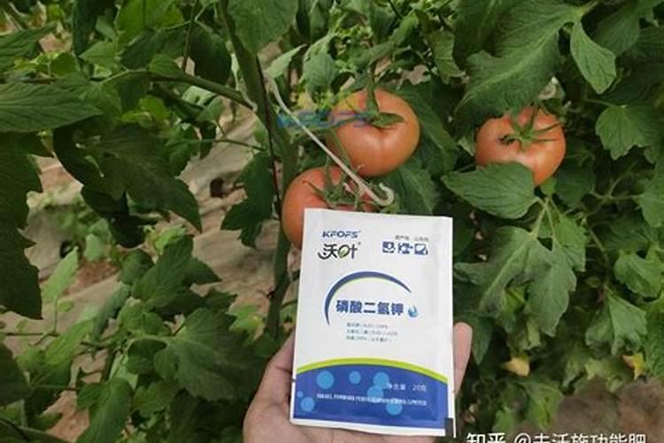 种蔬菜用什么复合肥