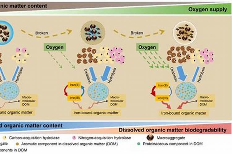 想请问各位大神,腐殖酸和有机质的区别,还有怎么测腐殖酸中的有机质啊...