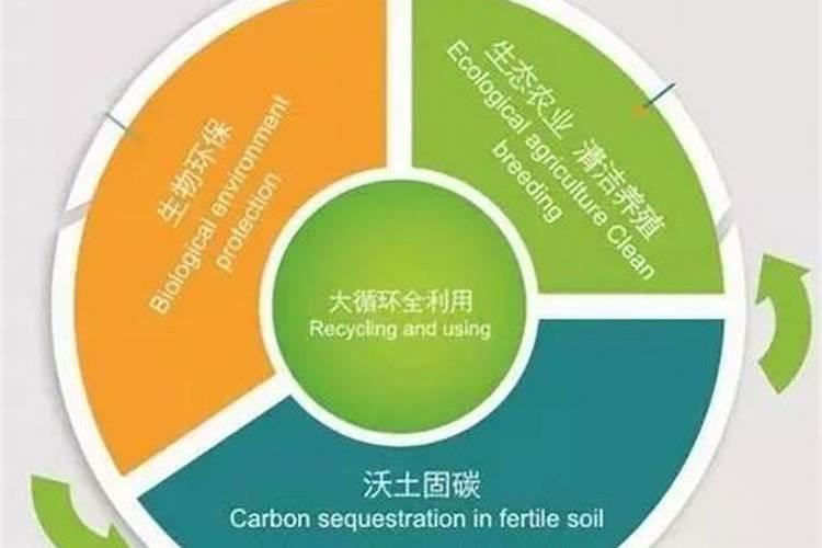 腐殖酸与有机质的区别？