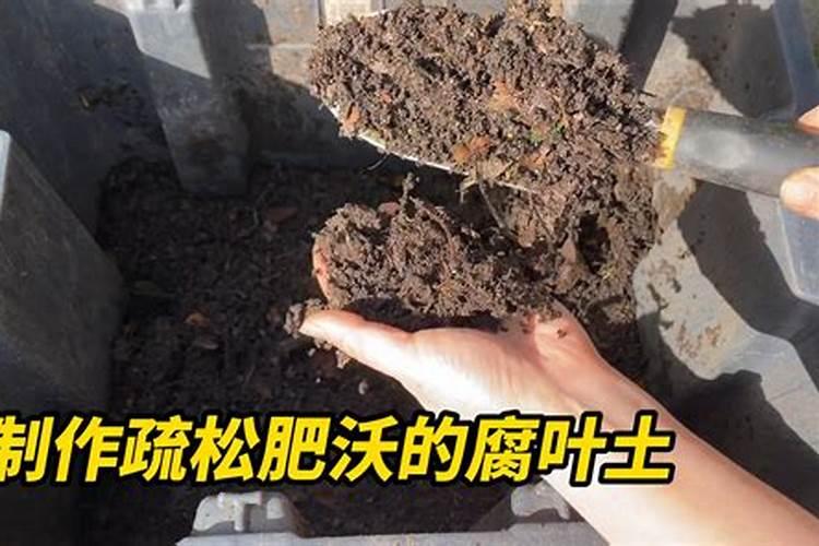 落叶做的腐殖土可以种菜吗？