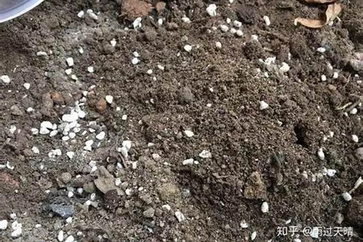 种菜复合肥怎么使用正确 多久施一次