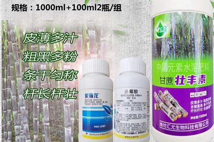番茄鱼怎么烧
